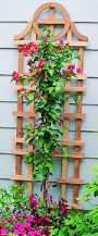 Savannah Cedar Trellis