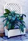 Calypso Planter w/ Trellis-White