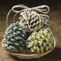 ECO Saucer Firestarter Gift Basket