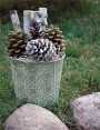 Mount Hood Firestarter Gift Basket