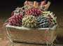 ECO Rectangular Firestarter Gift Basket