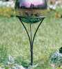 Gazing Ball Ground Stake