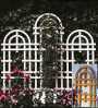 Cedar Monticello Cedar Trellis 72""x 24""
