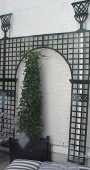 Arch Trellis Wall Set