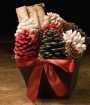 Stowe Firestarter Gift Basket