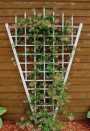Estate Trellis White