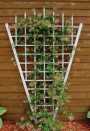 Estate Trellis White