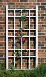 Cottage Trellis Mocha
