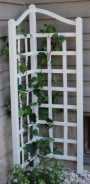Oxford Trellis
