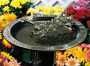 Hummingbird Sundial Birdbath Combination Verdigris