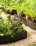 Grow Bed, 3' x 6'
