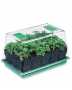 Deep-Root Seedstarting System