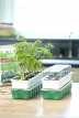 Beginner Seedstarter Kit