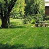 lawn care link